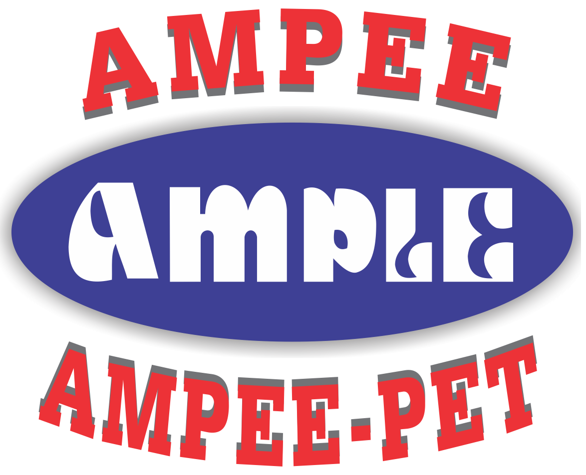 Ampee Packaging Equipment - Pet Blow Machine